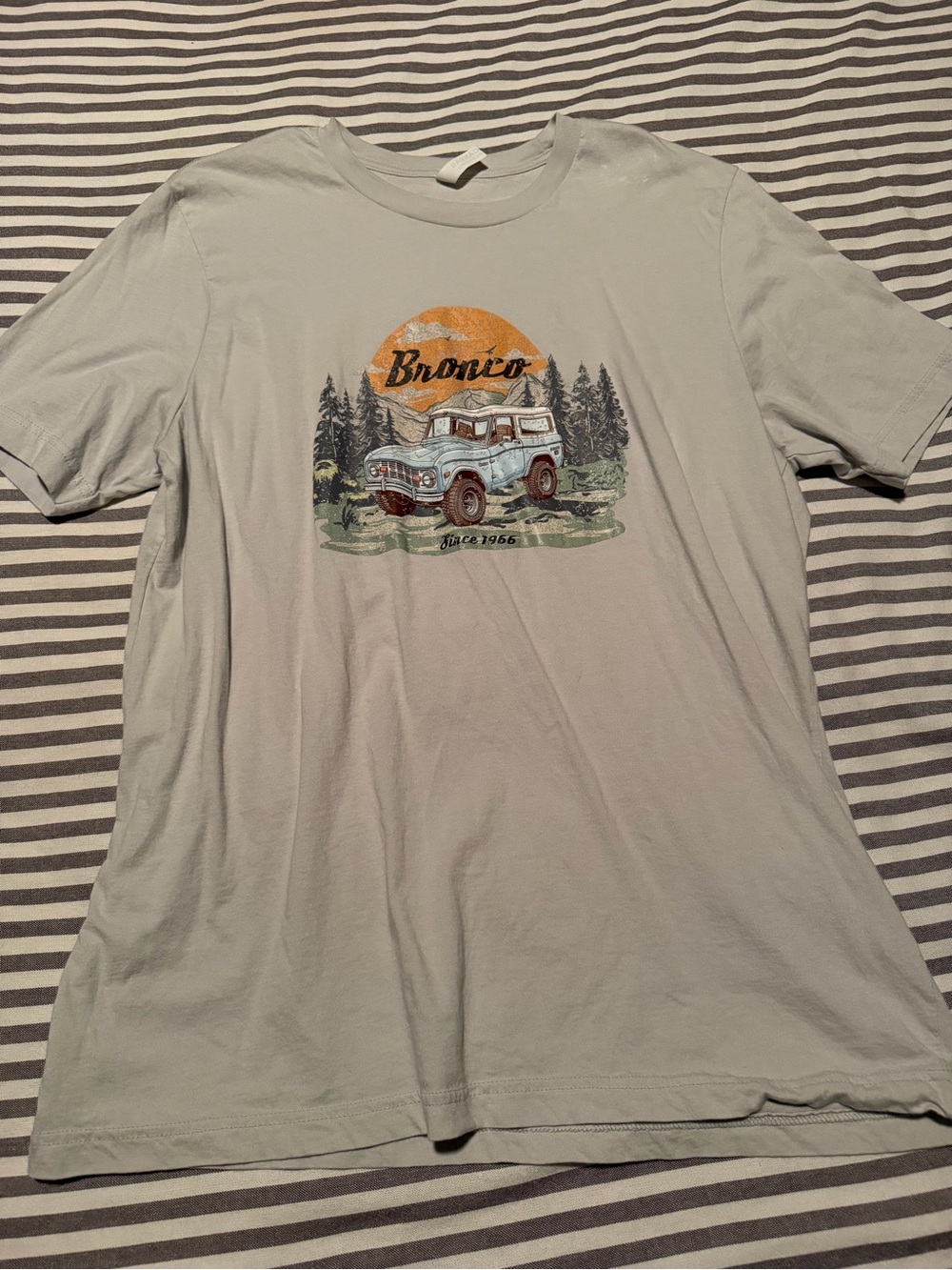 Graphic Crew Neck T-Shirt in Light Gray